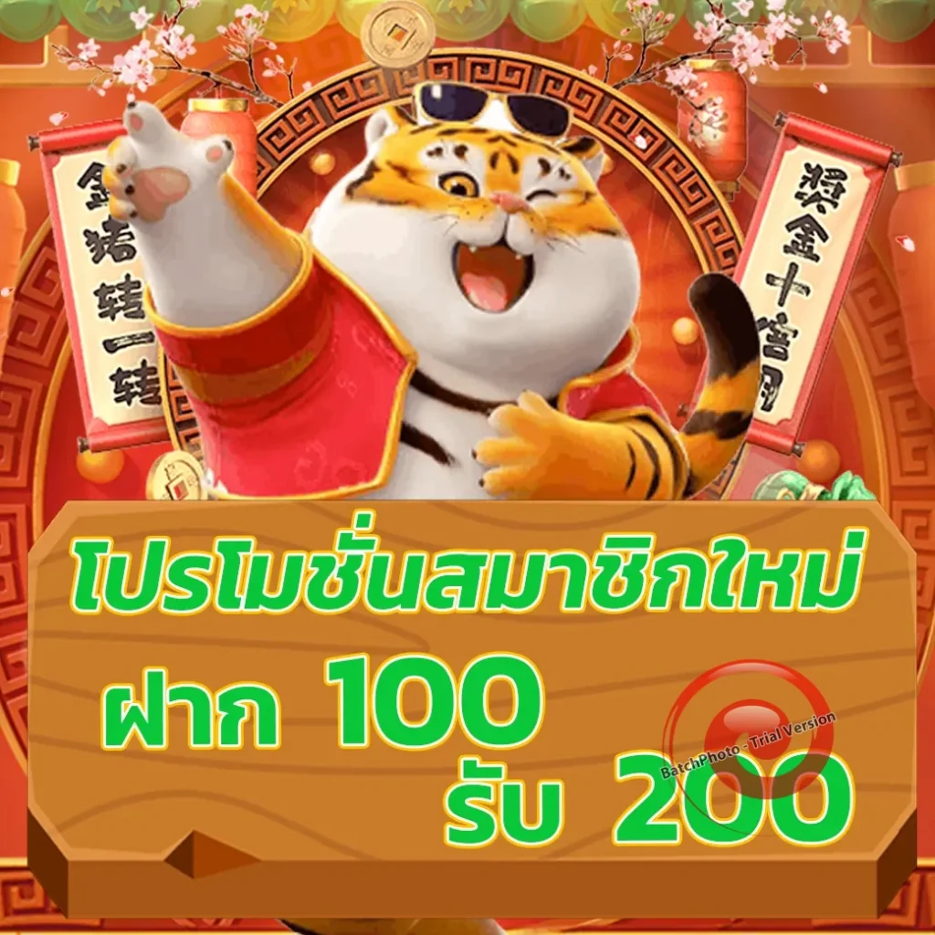 สมัคร allin